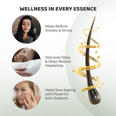 Rey Naturals Lavender Essential Oil For Skin, Hair Growth & Aromatherapy For Men & Women | Lavender Oil For Diffuser & Sleep | Pure Essential Oil For Hair fall Control - 15ml